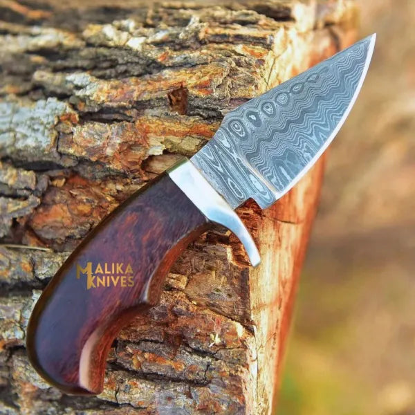 Mini Damascus Hunting Knife with Rosewood Handle